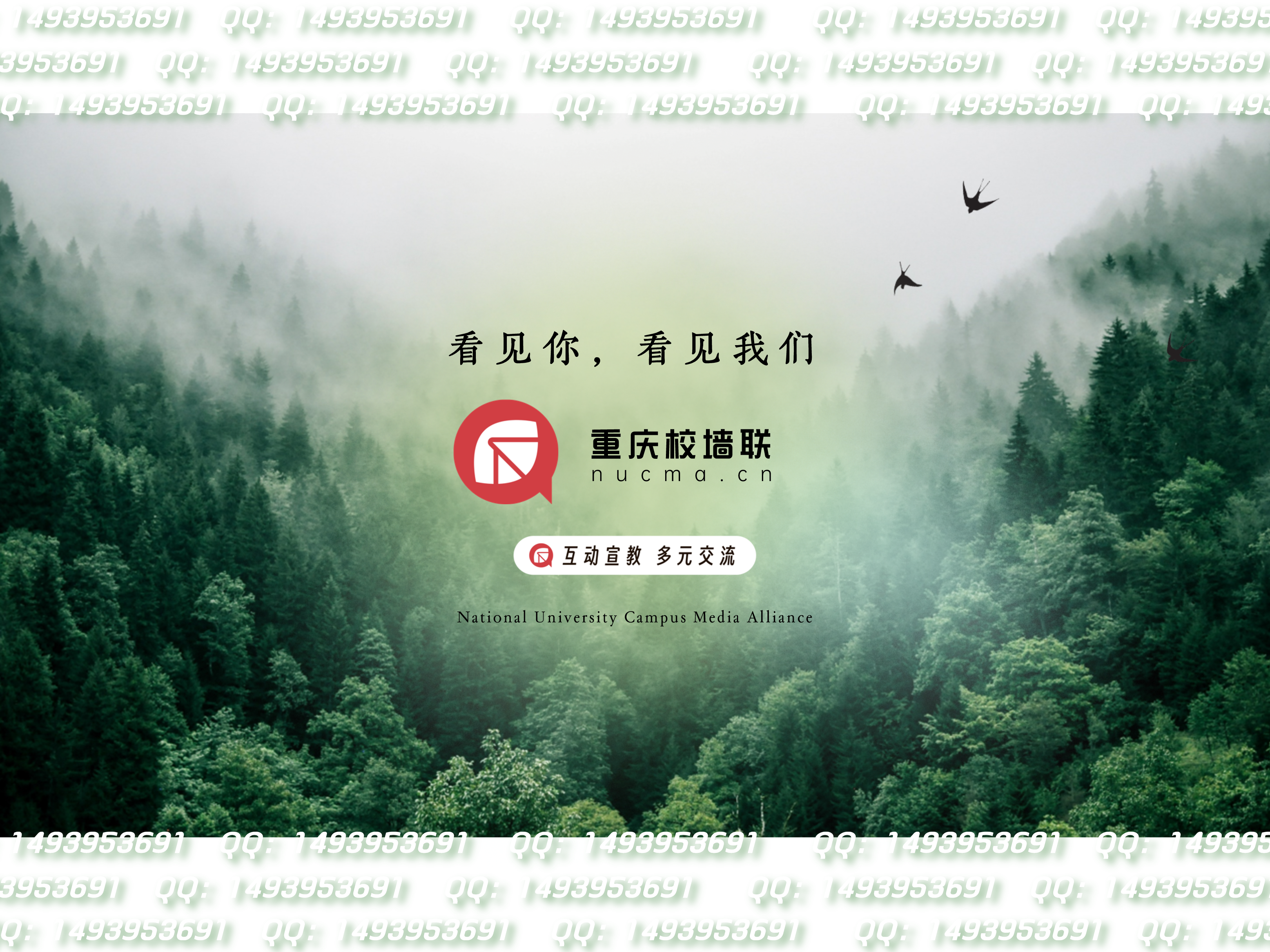 抽奖测试 的封面